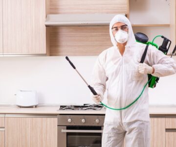 ابادة الحشرات فى مدينه بدر